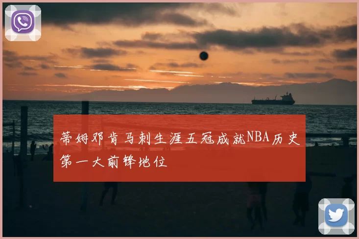 蒂姆邓肯马刺生涯五冠成就NBA历史第一大前锋地位